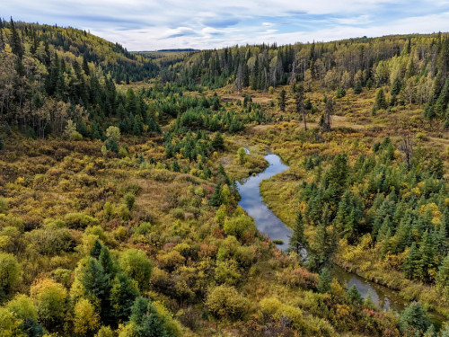 Fall scene of Montney valley with trees and stream