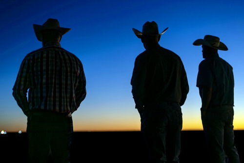 conversation partners helping restore rangeland