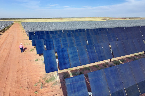 Employee walking amongst the 150-acre solar grid
