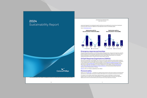 Sustainability Report cover