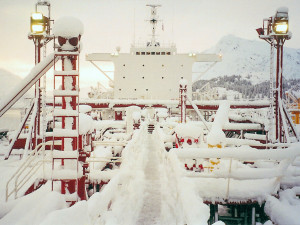 Polar Trader