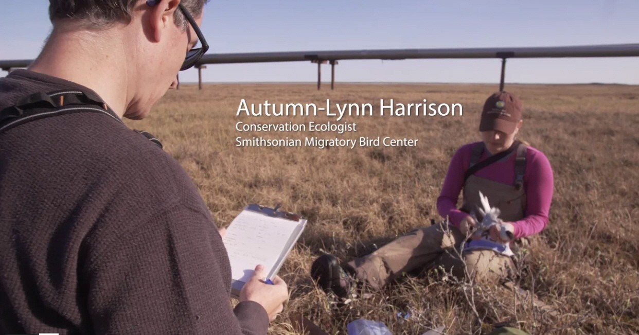 Click to watch video