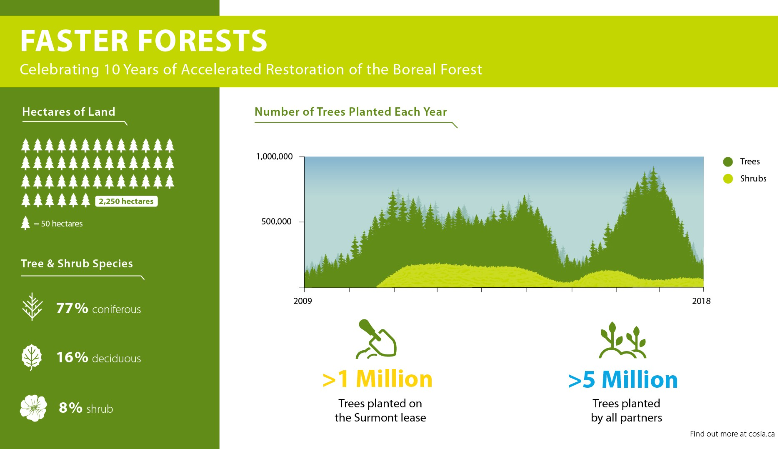 Faster Forests Infographic