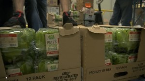 Click to watch video