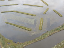 Marsh terraces aerial image