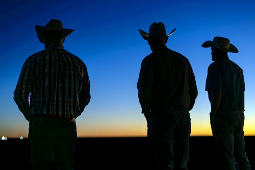 Three land stewards at Quail Ranch