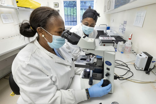 Two lab workers examining slides under a microscope