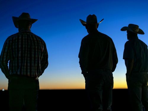 Three land stewards at Quail Ranch