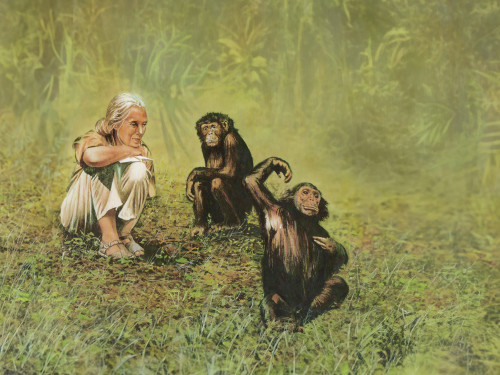 Dr. Jane Goodall