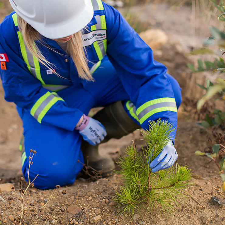 ConocoPhillips employee planting a tree.