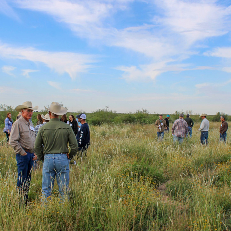 Stakeholders examine a pipeline right-of-way reclaimed with native grasses during a field day at Quail Ranch.