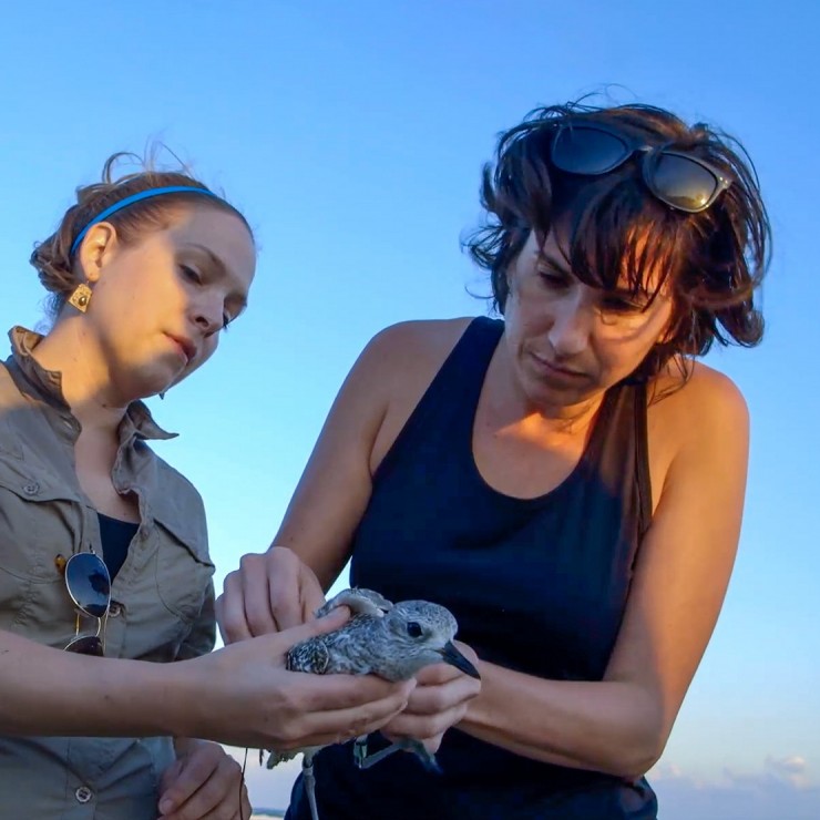 Two women holding a bird on Mad Island, Texas to study songbirds returning from their tropical wintering grounds.