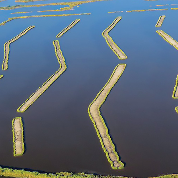 Coastal wetlands from the air