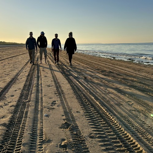 Geologists Dallin Laycock, Glen Burridge, Sam Hudson and Erin Pemberton walking on the beach